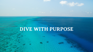 Takata - Dive with purpose