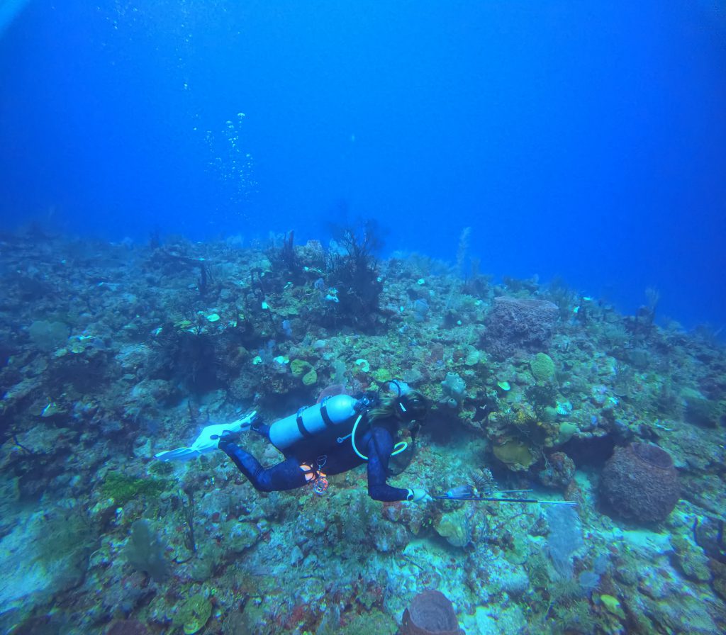 Dive instructor capturing lion fish during expedition activity at Takata Mexico