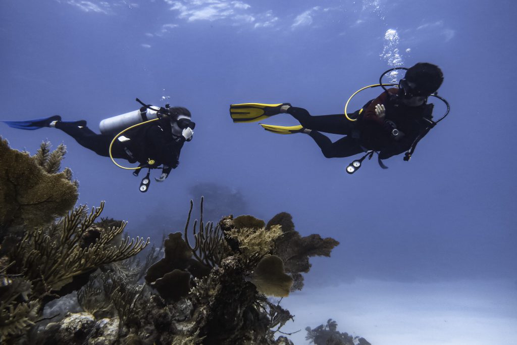Buddy divers exploring coral reef system