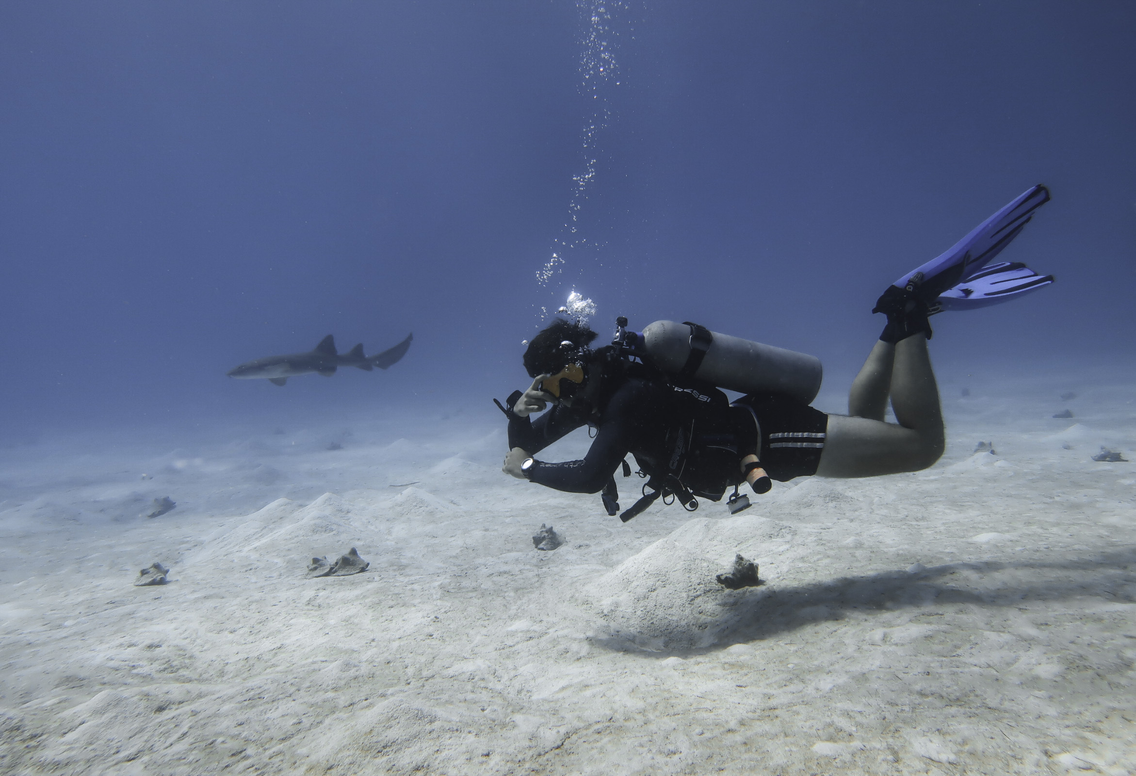 Scuba diver exploring the sandy reef floor
