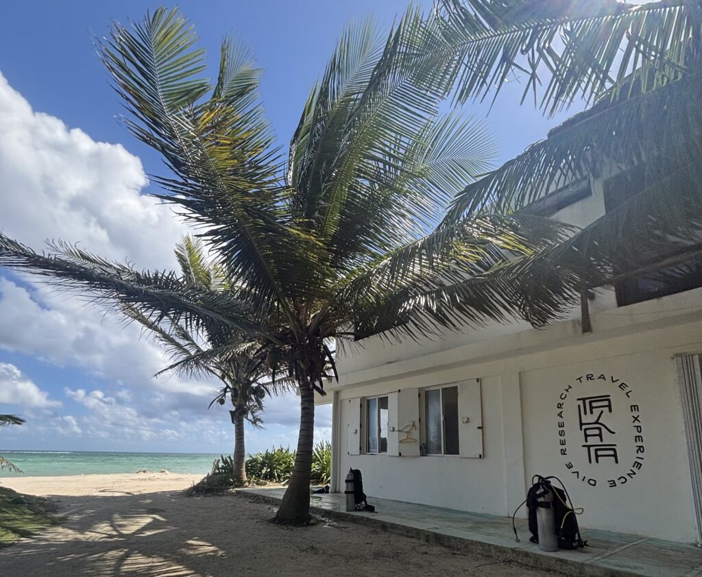 Takata Experience center by the beach with palm trees