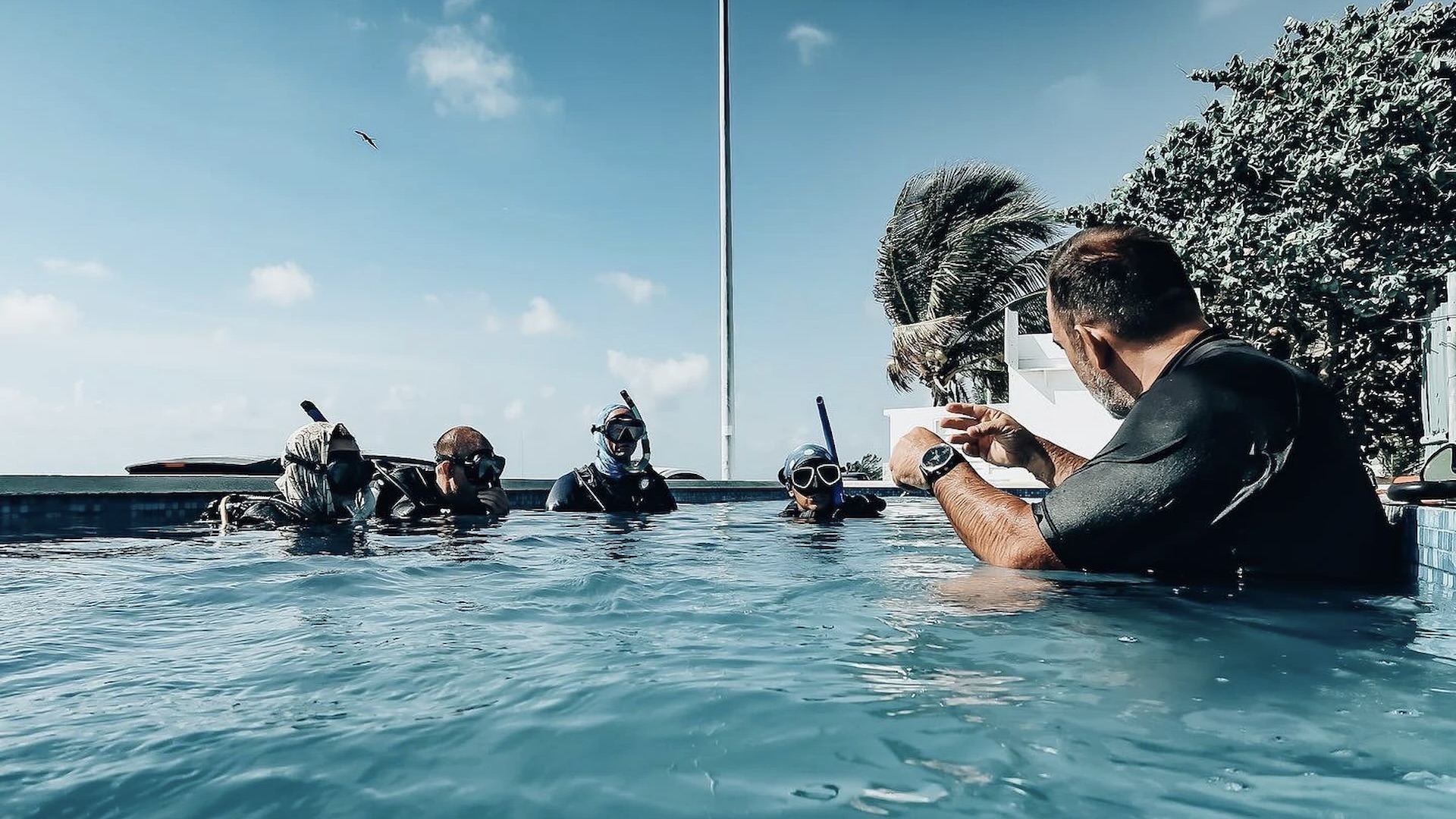 Diving Courses