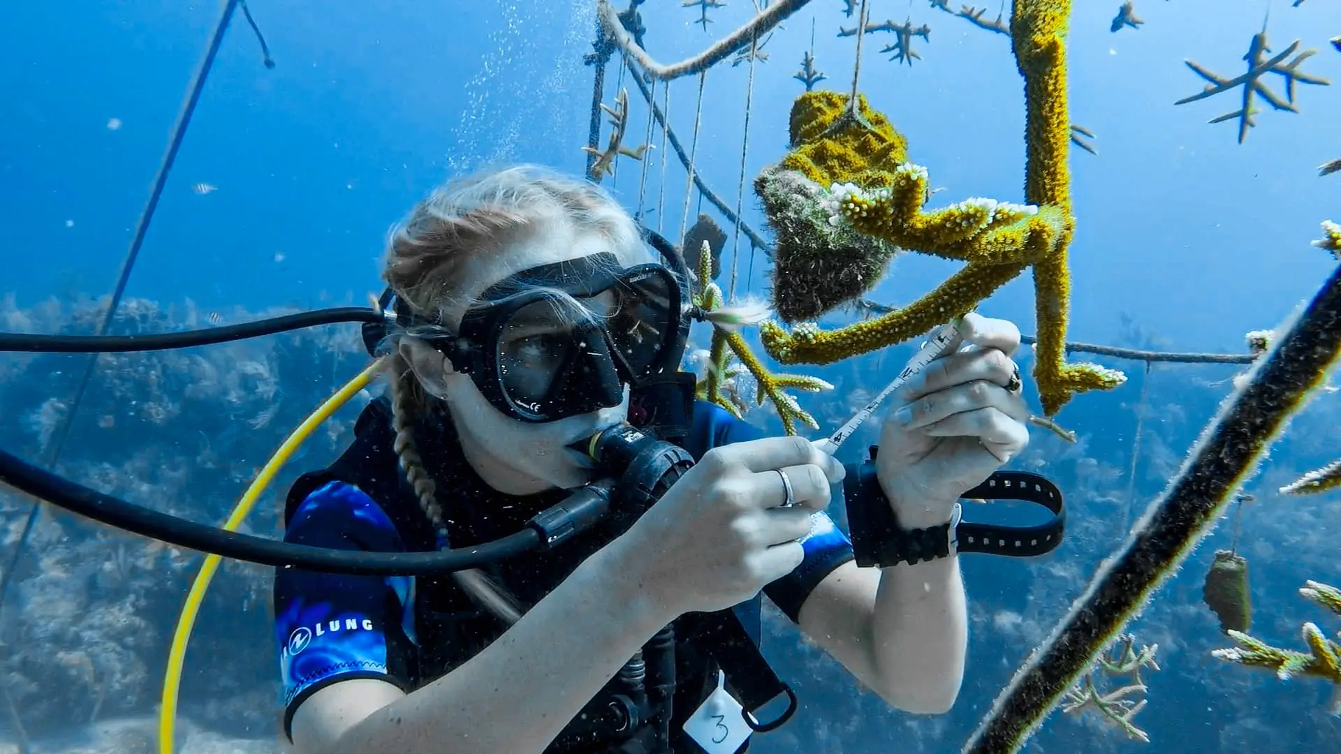 Woman measuring the coral