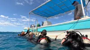 Candidatos a Divemaster supervisando a un grupo de buceadores esperando en una línea de superficie para subir al barco.